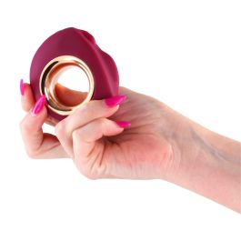 Masajeador NS Novelties Gold-n-Dreams Morado