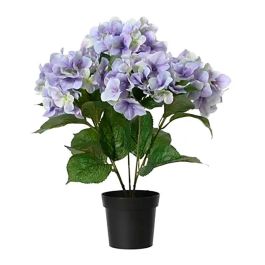 Everlands Maceta Hortensias Lila Ø28 x 46 cm Precio: 23.59000028. SKU: B13TN5DKCB