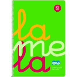 Lamela Bloc Tapa Polipropileno Fº 80H Cuadrovia 5 Mm Verde 5 unidades Precio: 27.69000058. SKU: B1GAH5DGMF