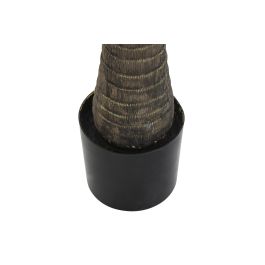 DKD Home Decor Árbol Palmera Verde Beige 80 x 210 x 80 cm (2 Unidades) para Terraza y Jardín