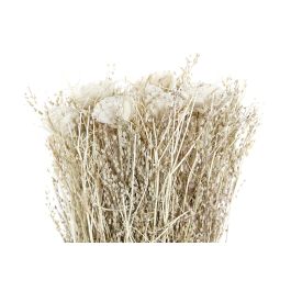 DKD Home Decor Ramo Shabby Natural Blanco 17 x 53 x 17 cm (12 Unidades) Flor Seca