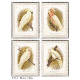 DKD Home Decor Cuadro Blanco Cristal Bambú Cacatua 2.8 x 65 x 50 cm (4 Unidades) Precio: 122.5900005. SKU: S3038849