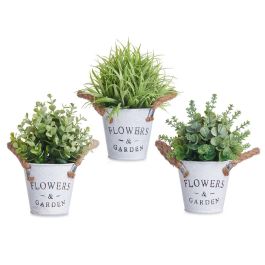 Planta Flor Verde Envejecid Bote Metal 24Cm Surtidos Ibergarden (12 Unidades) Planta Flor Verde Envejecid Bote Metal 24Cm Surtidos Ibergarden (12 Unidades)
