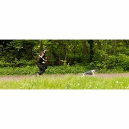 Cani C Gear Correa de tracción AUC3760402170417 para perros - 1,9 m - Doble asa