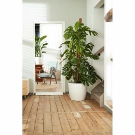 Elho 5643504015041 Juego 2 Maceteros Redondos Bruselas con Ruedas Ø35xH33cm y Ø39xH36.5cm, 55L, Blanco