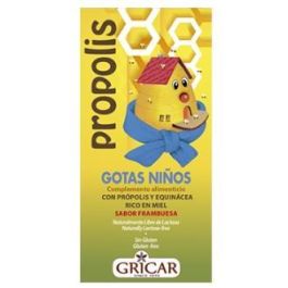 Propolis+Echinacea Jarabe Niños 200Ml. Gricar Precio: 17.5000001. SKU: B1CM5VRK9G