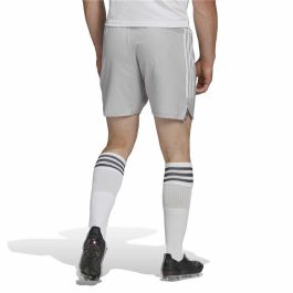 Pantalón de Entrenamiento de Fútbol para Adultos Adidas Con22 Md Gris
