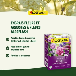 Algoflash Naturasol Fertilizante para Flores 2 kg