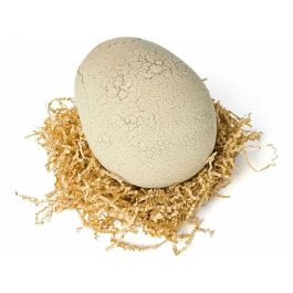 Spinmaster SPI6072462 Primal Hatch Eclosión del T-Rex - 100 sonidos e interacciones - A partir de 5 años