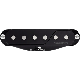 FISHMAN Pastilla Simple Fluence SS Activa