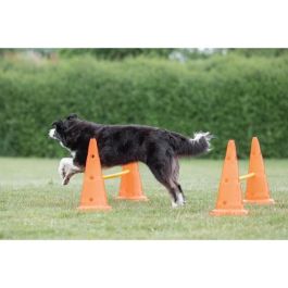 TRIXIE Lote de 3 actividades de obstáculos - Ø 23 × 30 cm - 78 cm - Naranja y amarillo - Para perros