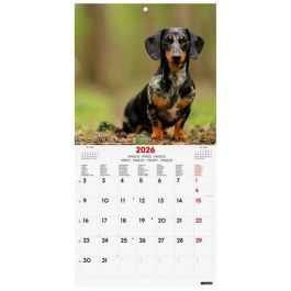 Calendario (2026) Finocam Internacional Pared Imagenes Mensual Para Escribir 180X180 Dogs Precio: 6.50000021. SKU: B12R7LDYZS