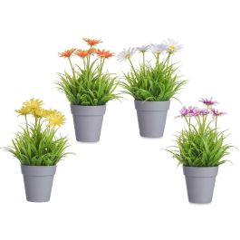 Ibergarden Maceta Margarita Surtida de Plástico, Colores Aleatorios (Amarillo, Blanco, Violeta, Naranja), 14x21x14 cm (24 Unidades) Ibergarden Maceta Margarita Surtida de Plástico, Colores Aleatorios (Amarillo, Blanco, Violeta, Naranja), 14x21x14 cm (24 Unidades)