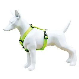 Freedog Arnés Nylon Neon Verde Fluor 25 mm Precio: 9.68999944. SKU: B1HEFET8NX