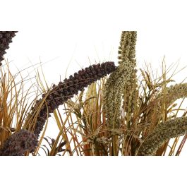 DKD Home Decor Planta Blanca Lila 15 x 50 x 15 cm (12 Unidades) Uraria Crinita