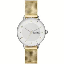 Reloj Mujer Skagen RIIS (Ø 36 mm) Precio: 129.59000054. SKU: B17KJKCR7A