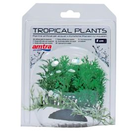 Tropical Plant Precio: 3.50000002. SKU: 3TGbYB2ALYg6LM39jUNiLj