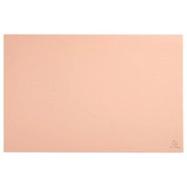 Vade Sobremesa Exacompta Aquarel Carton Forrado 58X38 Cm Compatible Con Raton Coral Precio: 8.49999953. SKU: B16PSFKMPR