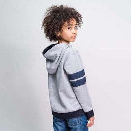 Sudadera con Capucha Niño Harry Potter Gris 12 Años
