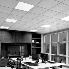 Edm Panel LED 40W 6400K Luz Fría 4300 lm 59,5x59,5x2,9 cm con Alimentador Philips y Marco Acero Blanco