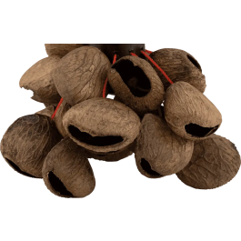 PEARL Shaker Asa Pearl