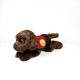 Peluche Labrador Chocolate 21Cm Con Chaleco 939D00248 Bocala Precio: 19.94999963. SKU: B1H86WTTCP