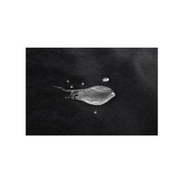 Abrazaderas para Bondage Sportsheets