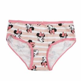 Pack braguitas single jersey 3 piezas minnie t02/03 Pack braguitas single jersey 3 piezas minnie t02/03