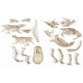 CLEMENTONI Archéo Ludic - T-Rex y triceratops fosforescentes - Science & Jeu CLEMENTONI Archéo Ludic - T-Rex y triceratops fosforescentes - Science & Jeu