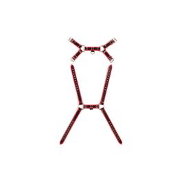 Arnés Virgite MOD. 1