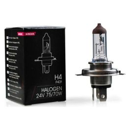 M-Tech Lámpara Halógena H7 PX26d 24V 70W MTECZ907