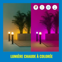 Wiz WIZ1708426428723 Kit de Inicio para Exteriores de 12V - Terminal Conectado, Aluminio, LED Integrado, Negro