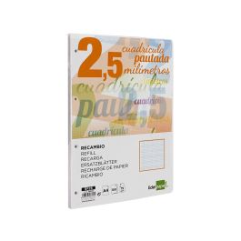 Recambio Liderpapel A4 Pautaguia 100 Hojas 75 gr-M2 Cuadriculado Pautado 2,5 mm Con Margen 4 Taladros