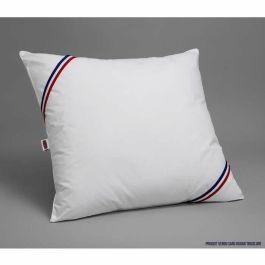 Dodo DOD3307419656116 Pack 2 Almohadas de Cama 60x60cm Relleno 100% Poliéster + 2 Fundas Protectoras Impermeables Dodo DOD3307419656116 Pack 2 Almohadas de Cama 60x60cm Relleno 100% Poliéster + 2 Fundas Protectoras Impermeables