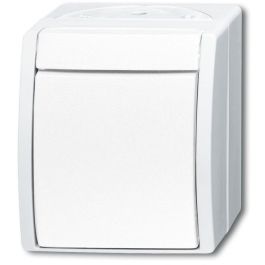 BUSCH-JAEGER 2621W-54 Wipptaster (Schließer) ocean IP44 alpinweiß Interruptor de Luz On/Off Blanco 250V 10A Precio: 24.4783. SKU: B1GCMSH99N