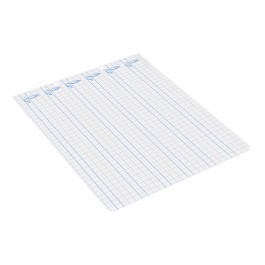 Liderpapel Recambio Cuarto Apaisado Pautaguía 100 Hojas 75gr Cuadriculado Pautado 6mm con Margen y 2 Taladros