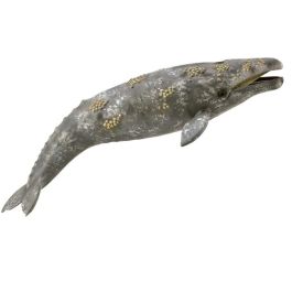 Ballena Gris - Xl - 888836 - Collecta Precio: 9.9583. SKU: B18M9459DB