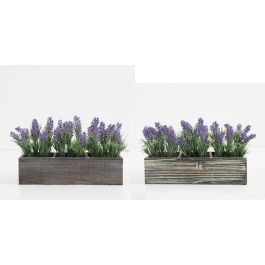 DKD Home Decor Planta Lila Verde 14 x 19.5 x 32 cm (2 Unidades) Precio: 22.49999961. SKU: S3030692