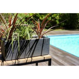 EDA PLASTIQUE Balconniere Graphit Up - 25 L - 59 x 19.5 x 22.8 cm - Gris antracita EDA PLASTIQUE Balconniere Graphit Up - 25 L - 59 x 19.5 x 22.8 cm - Gris antracita