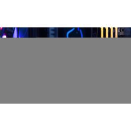 Kingston FURY RENEGADE SSD M.2 2TB NVMe PCIe 4.0 x 4 Velocidad Lectura 7300 MB/s