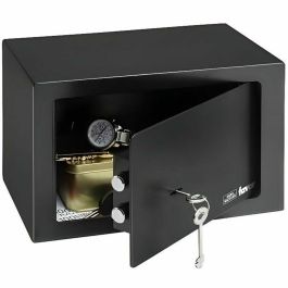 BURG-WÄCHTER Favor S3 K Caja Fuerte de Seguridad con Cerradura de Llave de Doble Bit, Pared Simple Robusta, 2 Llaves Precio: 94.98999972. SKU: B17KBX82LV