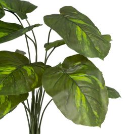 Rama Potos Verde "Pvc" 70 X 63 X 63 cm