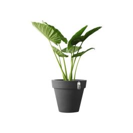 Elho Pure Round 40 Maceta Antracita Interior/Exterior Ø 39 x H 35,7 cm Elho Pure Round 40 Maceta Antracita Interior/Exterior Ø 39 x H 35,7 cm
