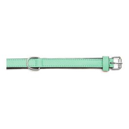 Collar Piel Acolchado 30 cm X 15 mm Verde Collar Piel Acolchado 30 cm X 15 mm Verde