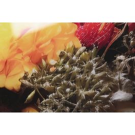 Cuadro Home ESPRIT Impreso 120 x 0,4 x 120 cm Cuadro Home ESPRIT Impreso 120 x 0,4 x 120 cm