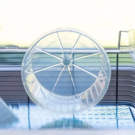 Ferplast Jaula Duna Fun Large