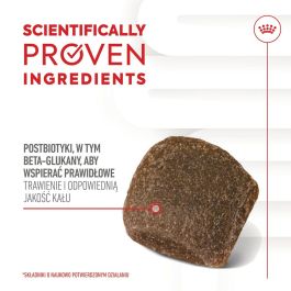 Snack para Perros Royal Canin Supplements Dog Digestion Adult 160 g Snack para Perros Royal Canin Supplements Dog Digestion Adult 160 g