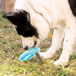 Juguete Mordedor Congelable para Mascotas 2 en 1 Glubiz InnovaGoods Juguete Mordedor Congelable para Mascotas 2 en 1 Glubiz InnovaGoods