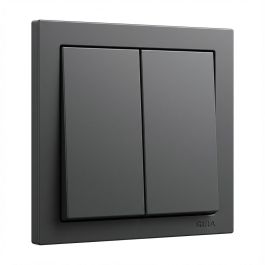 GIRA 329528 Wippe 2f System 55 Anthrazit Mecanismo de Interruptor Doble Color Antracita Precio: 24.89000008. SKU: B1JLPB8EGZ