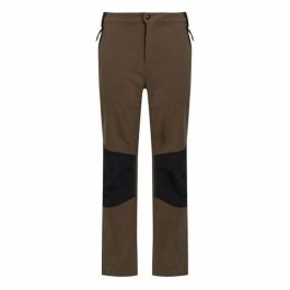 Pantalón Largo Deportivo Regatta Questra V Marrón